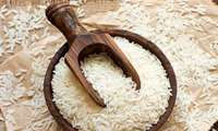 ابلاغ مصوبه قیمت تضمینی برنج پرمحصول برای سال زراعی 04-1403